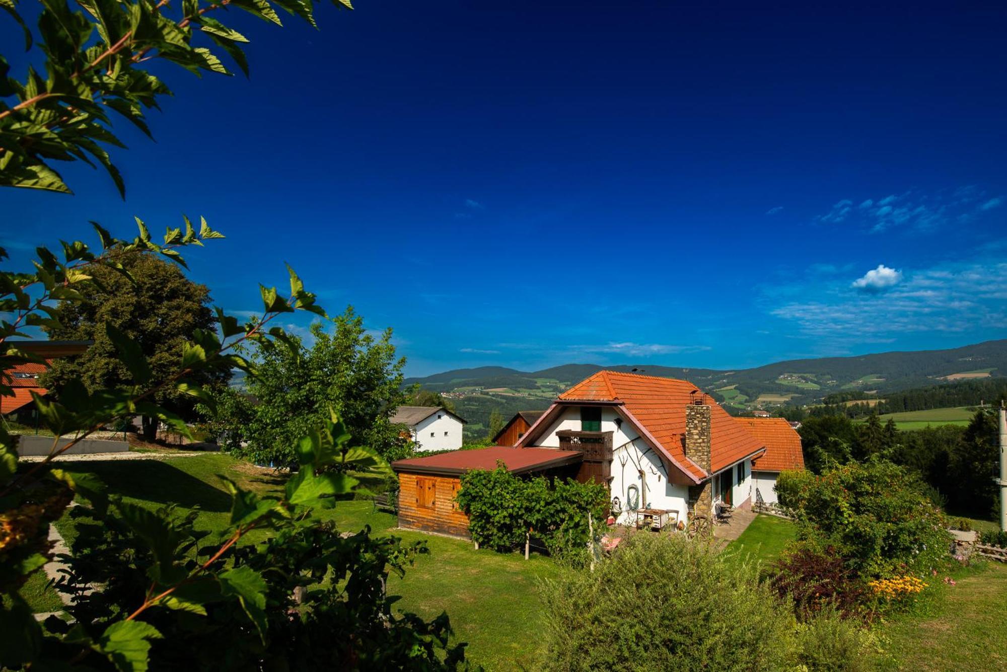 Ferienhaus Mooshoef Pollauberg Екстер'єр фото